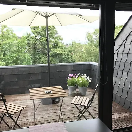 Fantastic Duplex With Terrace Apartment